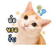 842171195