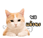 842171200
