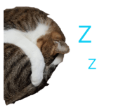 842171860