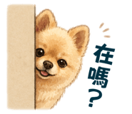 842172098