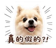 842173065