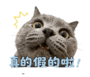 842173385