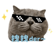 842173387