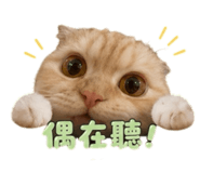 842173391