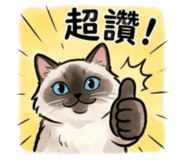 842173428