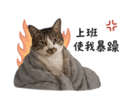 842174086