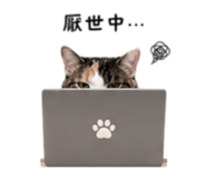 842174675