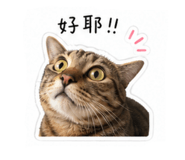 842176115