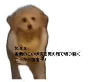 842176469