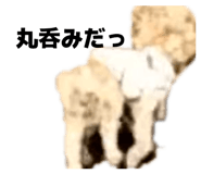 842176472