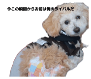 842176476