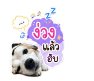842176527