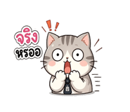 842176537