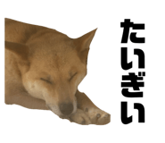 842177287
