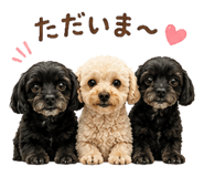 842177451