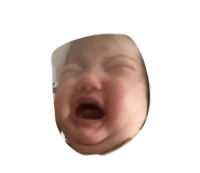 842177753