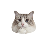 842177770