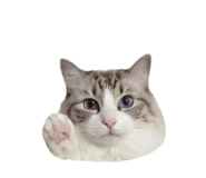 842177771