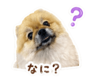 842177991