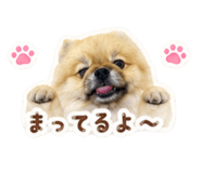 842178007