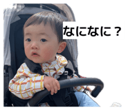 842178113