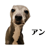 842178283