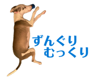 842178299