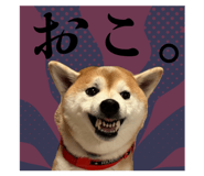 842178478