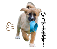 842178815