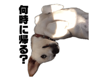 842178816