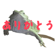 842178962