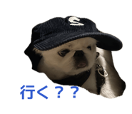 842179739