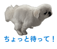 842179743