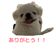 842179752