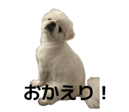 842179773