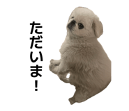 842179776
