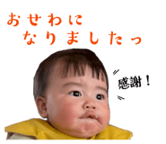 842180561