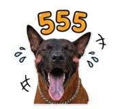 842181674