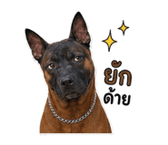 842181686