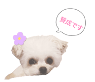 842181773