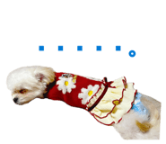 842181774