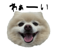 842182824