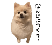 842182828