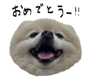 842182837