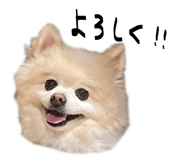 842182840