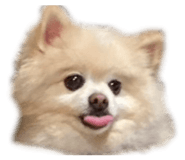 842182856
