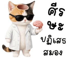 แมวเหมียวมาเฟีย รูปที่ 3