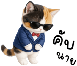 แมวเหมียวมาเฟีย รูปที่ 4