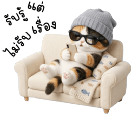 แมวเหมียวมาเฟีย รูปที่ 7