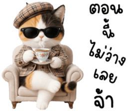 แมวเหมียวมาเฟีย รูปที่ 8